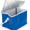Merkloos PVC Mini Koeltasje | Koeltas Lunch | Compacte Koeltas Blauw | Koeltasje Voor 6 Blikjes -Beste Kampeer Winkel 1024x1200