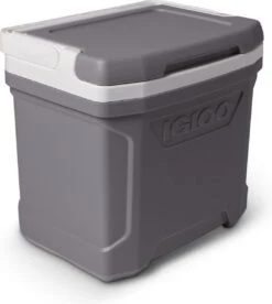 Igloo Profile II 16 - Kleine Koelbox - 15 Liter - Grijs -Beste Kampeer Winkel 1074x1200 1