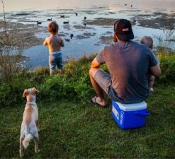 Coleman 16QT Performance Tricolor Koelbox - 15L - Blauw/Grijs -Beste Kampeer Winkel 1200x1094 1