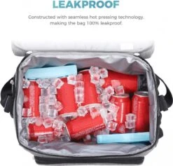 Lifewit 20L Koeltas | 20 Liter | Opvouwbaar | Koelbox-Koeltas | Isolatietas/ Picknicktas Voor Levensmiddelen / Grijs -Beste Kampeer Winkel 1200x1153