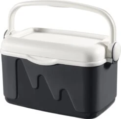 Curver Koelbox - 10L - Grijs