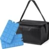 Merkloos Kleine Mini Koeltas Zwart Voor 6 Blikjes Inclusief 2 Koelelementen - Compacte Koelboxen/koeltassen En Elementen -Beste Kampeer Winkel 1200x1186 2