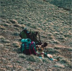 LOWLAND OUTDOOR® Donzen Slaapzak - Super Compact Blanket - 210 X 80 Cm - 590gr +8°C -Beste Kampeer Winkel 1200x1196 15