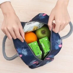 Koeltas - Lunchtas - Volwassenen En Kinderen - Compact & Handig: Zomer - Picknick -School - Lunch - Werk - Blauw Flamingo 9 Koeltas - Lunchtas - Volwassenen En Kinderen - Compact & Handig: Zomer - Picknick -School - Lunch - Werk - Blauw Flamingo -Beste Kampeer Winkel 1200x1197 3