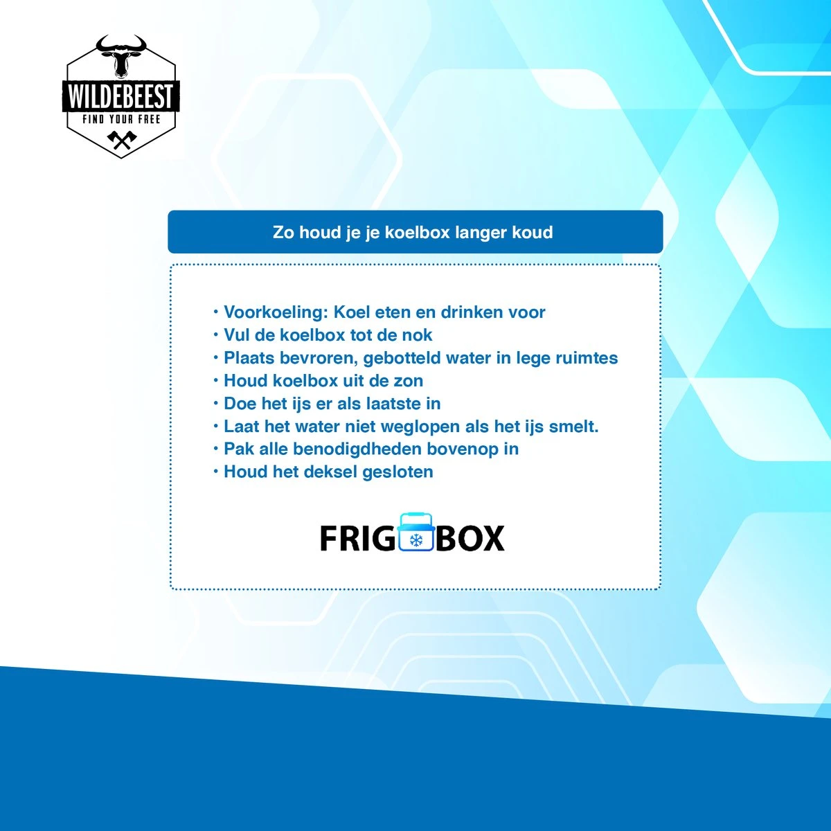 Koelbox Met ECO Modus Voor Auto & Camping Warm En Koud 32L - Frigobox Elektrisch 32 Liter Met 12v 230 Volt - Verkoelt En Verwamt - MiniBar - Mini Koelkast 8 Koelbox Met ECO Modus Voor Auto & Camping Warm En Koud 32L - Frigobox Elektrisch 32 Liter Met 12v 230 Volt - Verkoelt En Verwamt - MiniBar - Mini Koelkast - Afbeelding 6