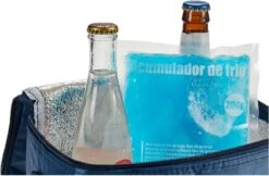 Arte R Koelelementen/icepacks - Herbruikbaar - 15 X 13 X 2 Cm -Beste Kampeer Winkel 1200x789 2