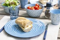 Bo-Camp - Servies - Mix & Match- 16-Delig - Blauw 26 Bo-Camp - Servies - Mix & Match- 16-Delig - Blauw -Beste Kampeer Winkel 1200x799 67