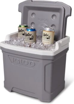 Igloo Profile II 16 - Kleine Koelbox - 15 Liter - Grijs -Beste Kampeer Winkel 858x1200