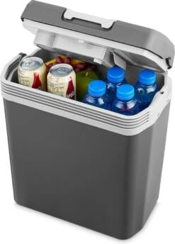 MOA - Thermo-elektrische Koelbox - Met Verwarmingsfunctie - 12V En 230V - 22 Liter - Grijs -ECW22