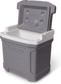 Igloo Profile II 16 - Kleine Koelbox - 15 Liter - Grijs -Beste Kampeer Winkel 881x1200 1